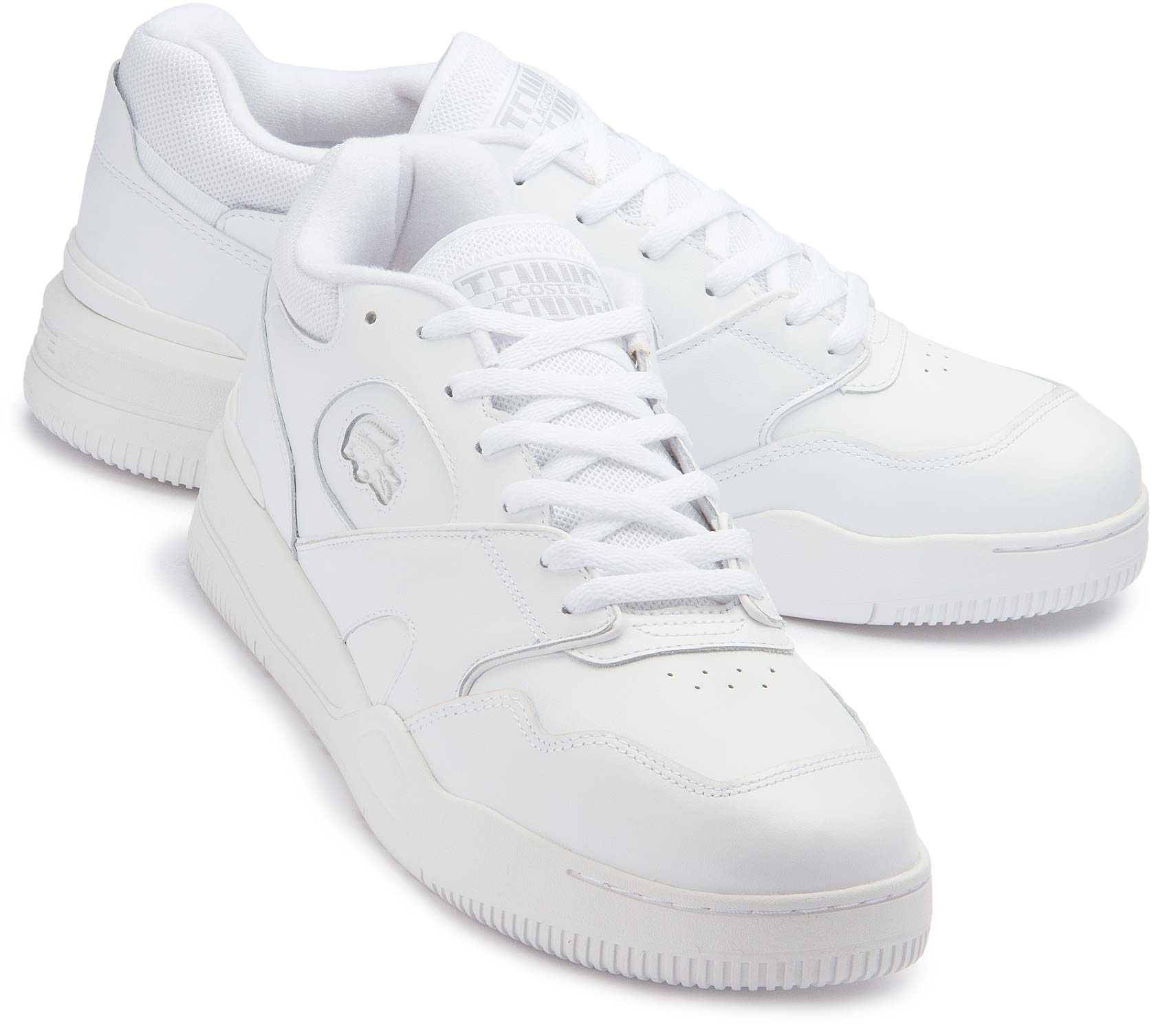 Lacoste Sneaker in Übergrößen Lacoste Sneaker in Übergrössen-8204-15-Paar